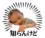 839303226