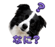 839303867