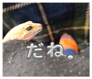 839304356