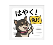 839309237