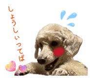839309715