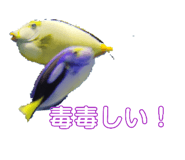 839309935