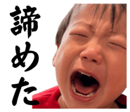 839310813