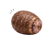 839319035