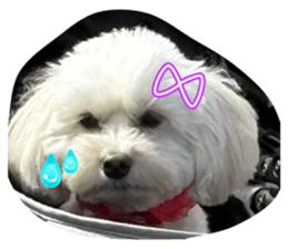 839319945