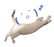839320081