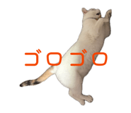 839320082