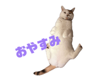 839320083