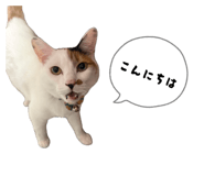 839320084