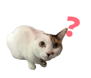 839320085