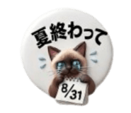 839320434