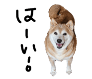 839320721
