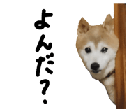 839320723
