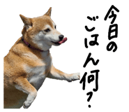 839320725