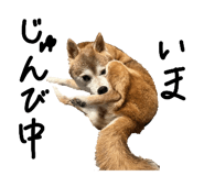 839320726