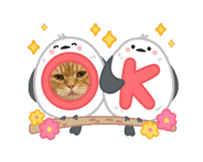 839321243