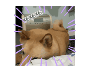839321386