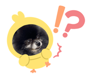 839328629