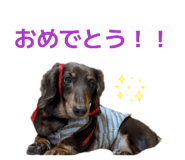 839328787