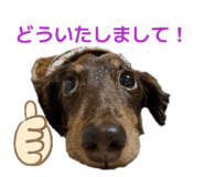 839328788