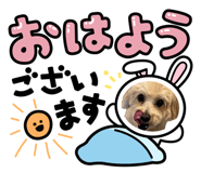 839328847