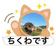 839328854