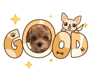 839328870