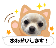 839328980