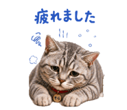 839329595