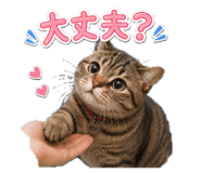 839329615