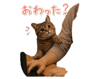 839329621