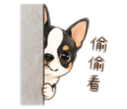 839333317