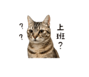 839333418