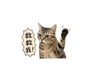839333423