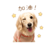 839333550