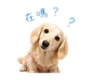 839333556