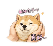 839333691