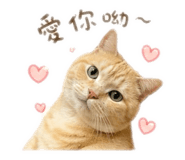 839333745