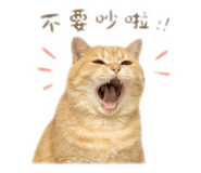 839333752