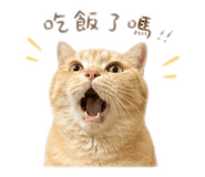 839333755