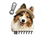 839333997