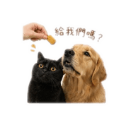 839334553