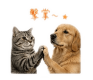 839334561