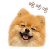 839334588