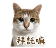 839341379
