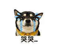 839341872