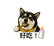 839341877