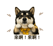 839341878