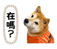 839342033