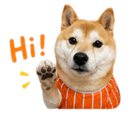839342034